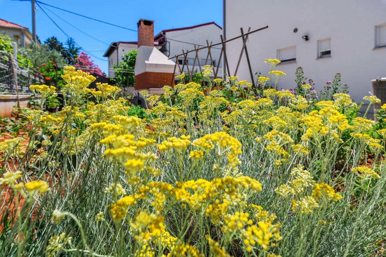 Apartman Andelka Zadar Exteriér fotografie